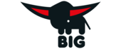 BIG
